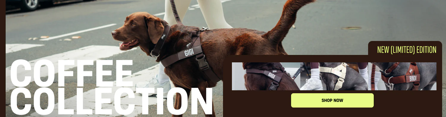 Unleash Style and Control